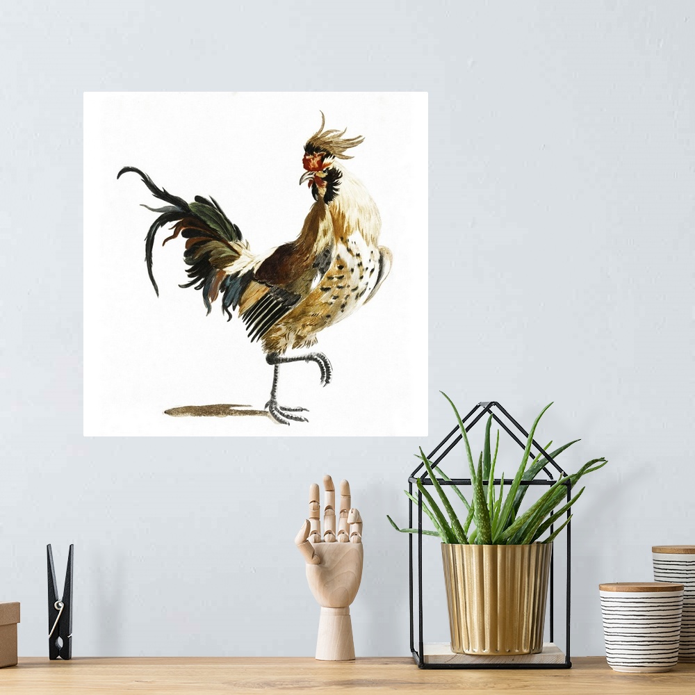 A bohemian room featuring Teyler Roosters I