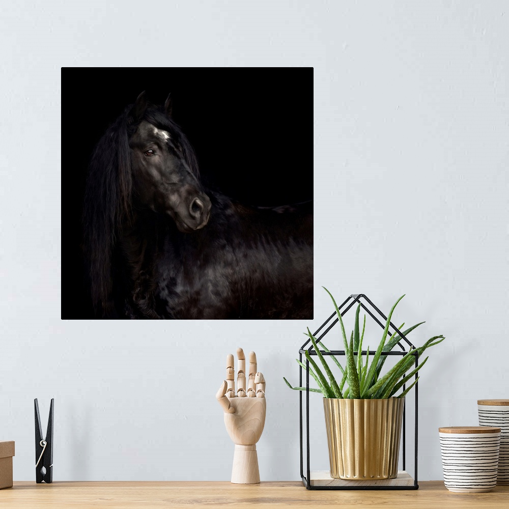 A bohemian room featuring The Horse King