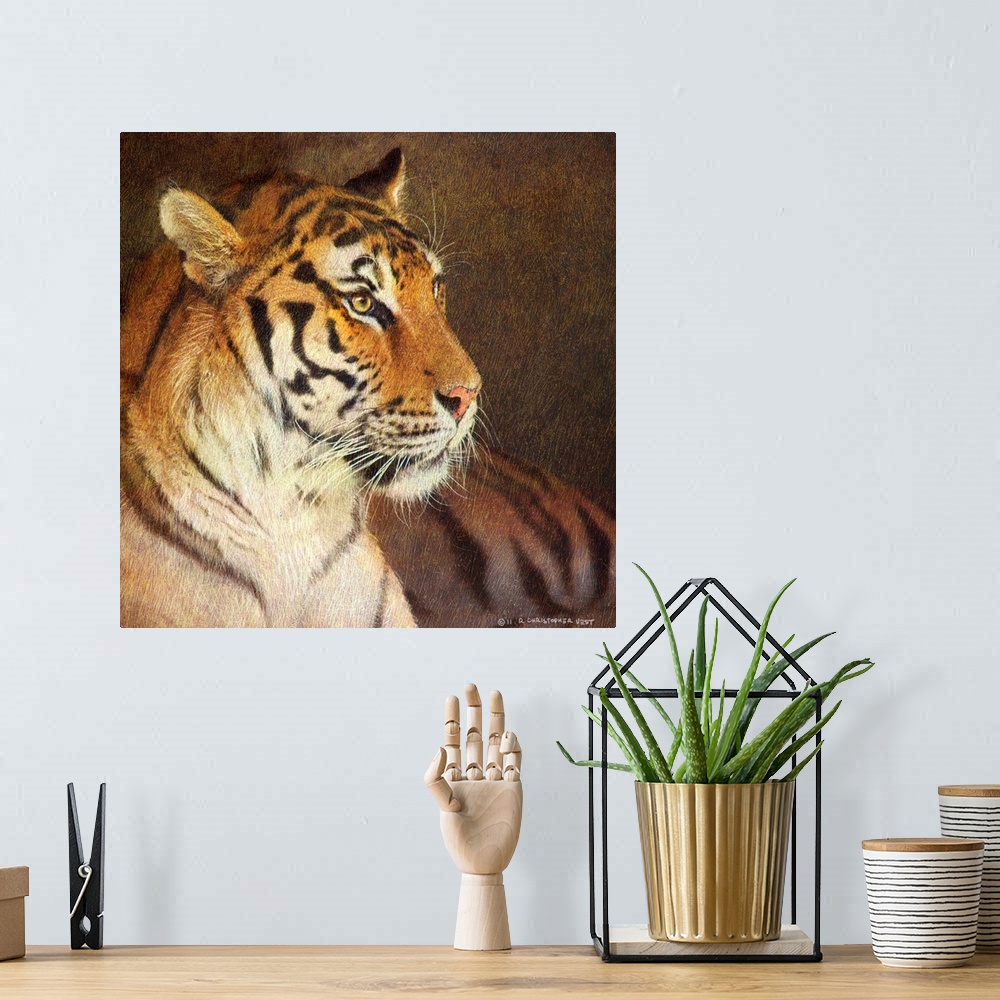A bohemian room featuring Tiger