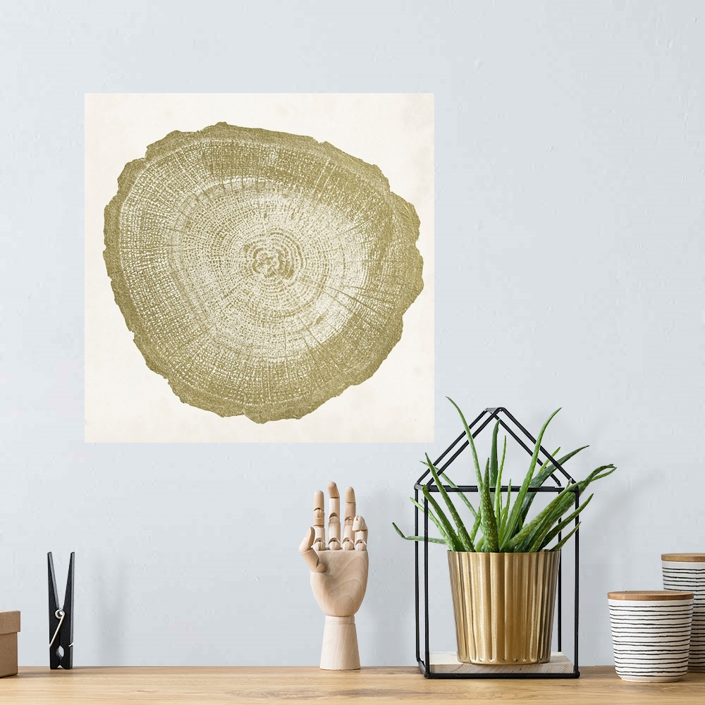 A bohemian room featuring Tree Ring IV