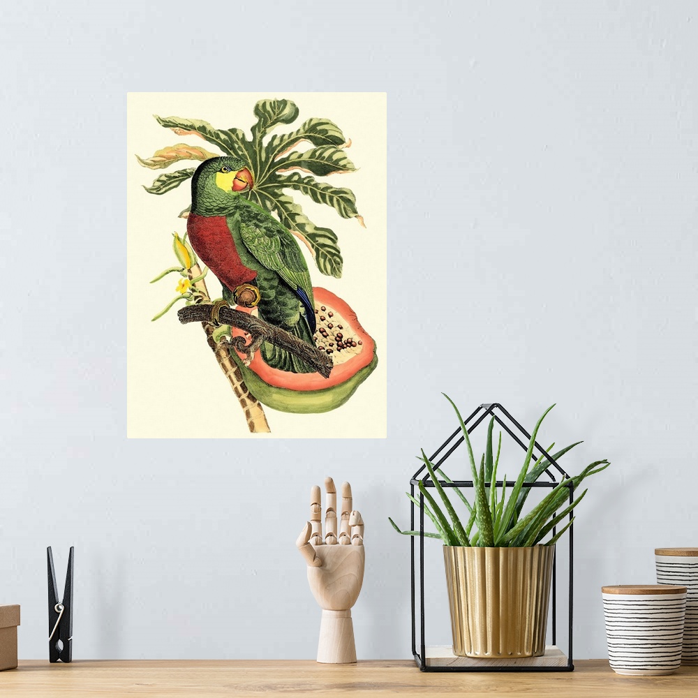 A bohemian room featuring Tropical Birds and Botanicals II