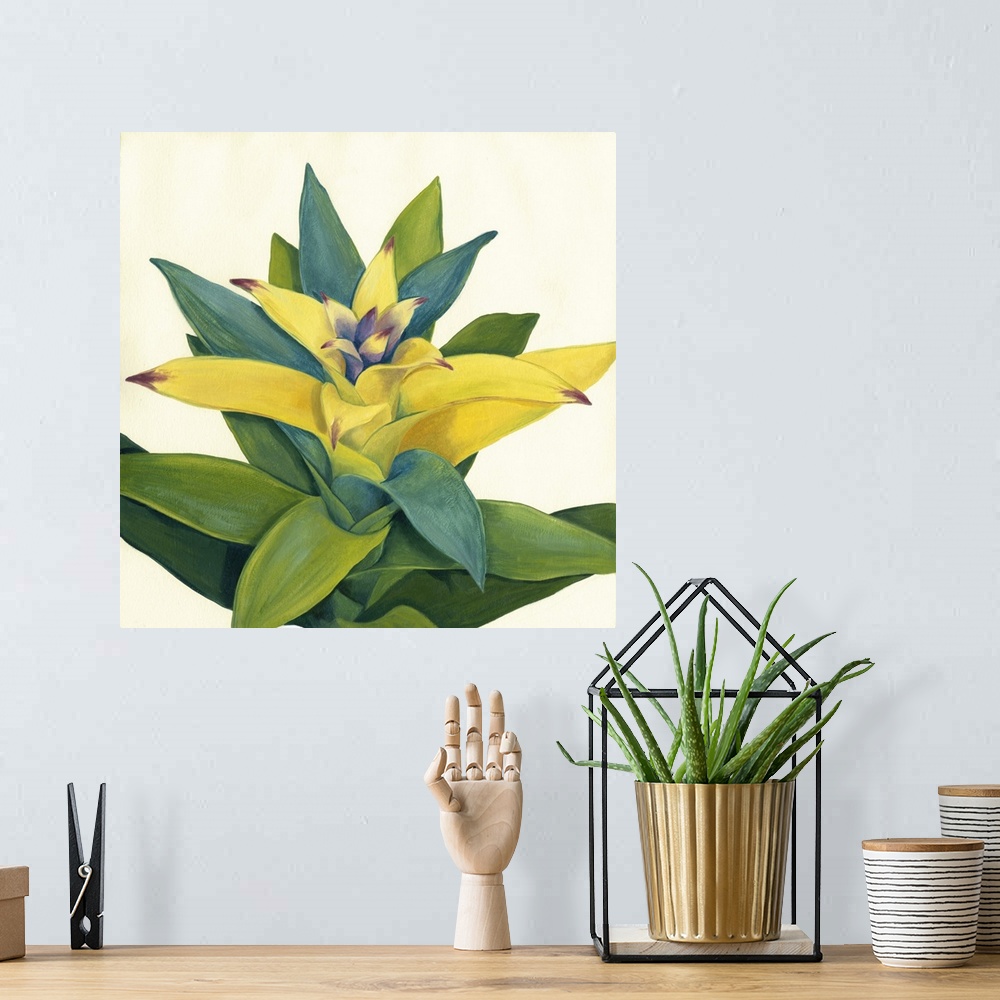 A bohemian room featuring Contemporary painting of a green and yellow succulent plant against a cream background.