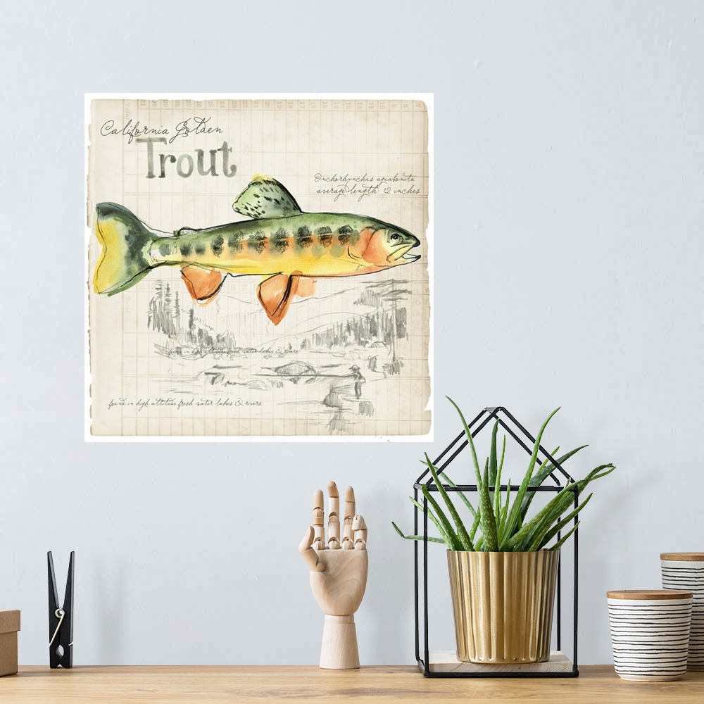 A bohemian room featuring Trout Journal IV