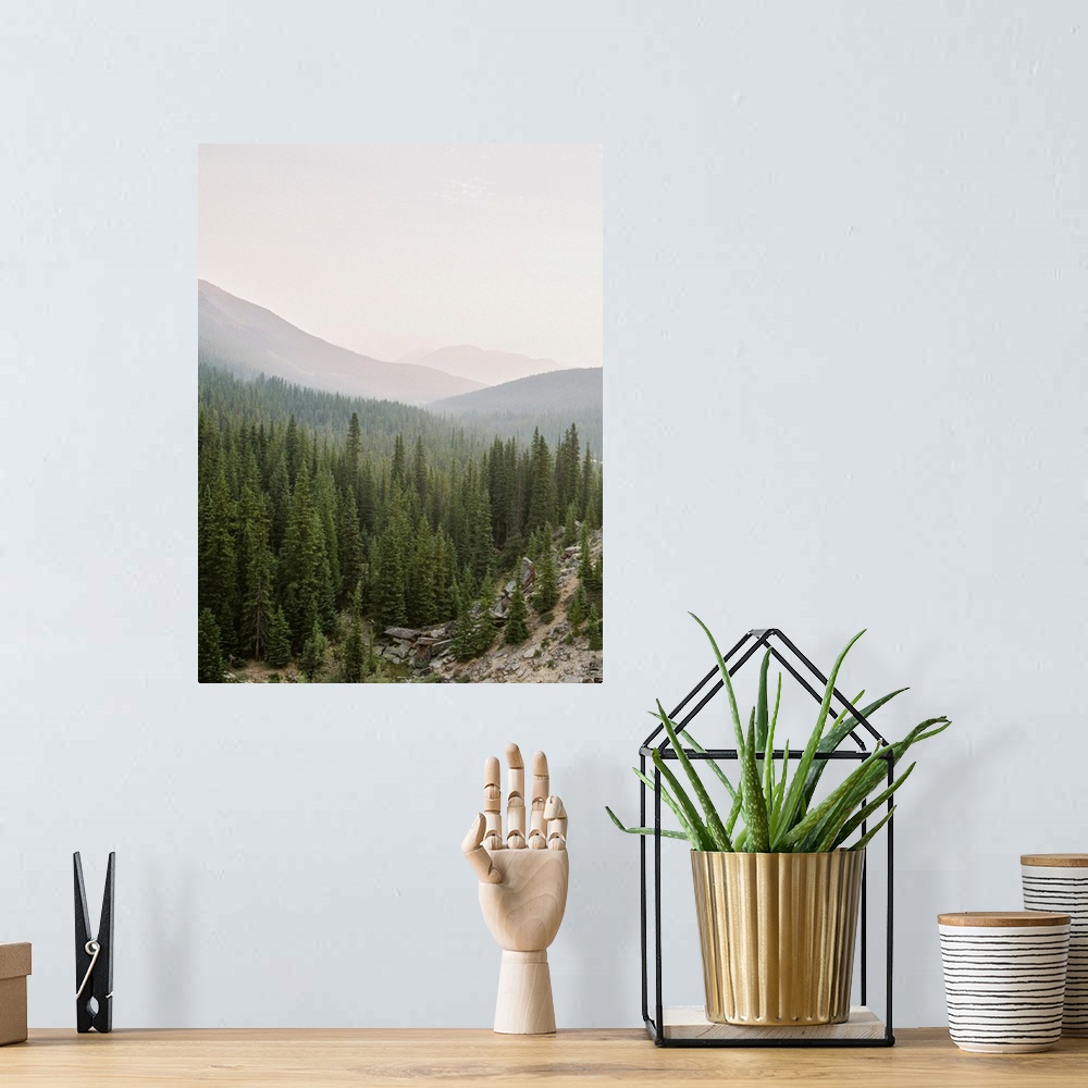 A bohemian room featuring Photograph of a huge stretch of evergreen trees in a valley, Lake Louise, Canada