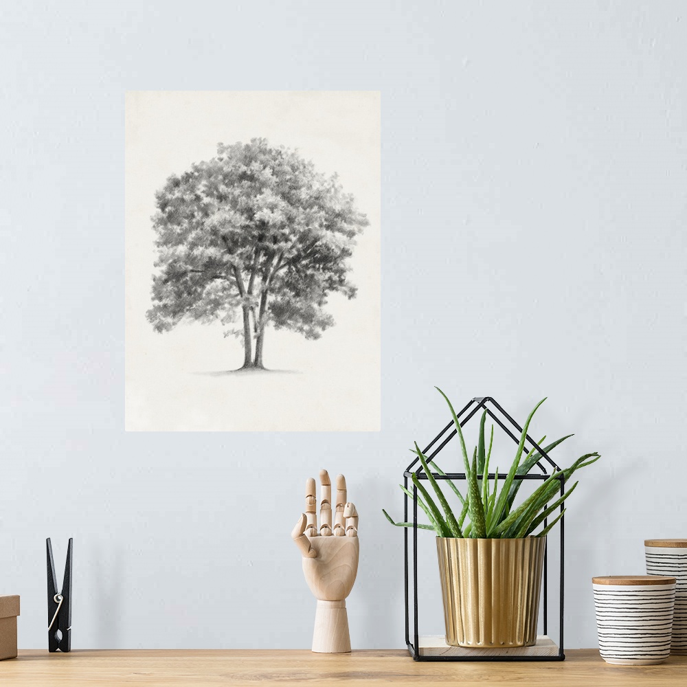 A bohemian room featuring Pencil drawing of a tree on a parchment background.