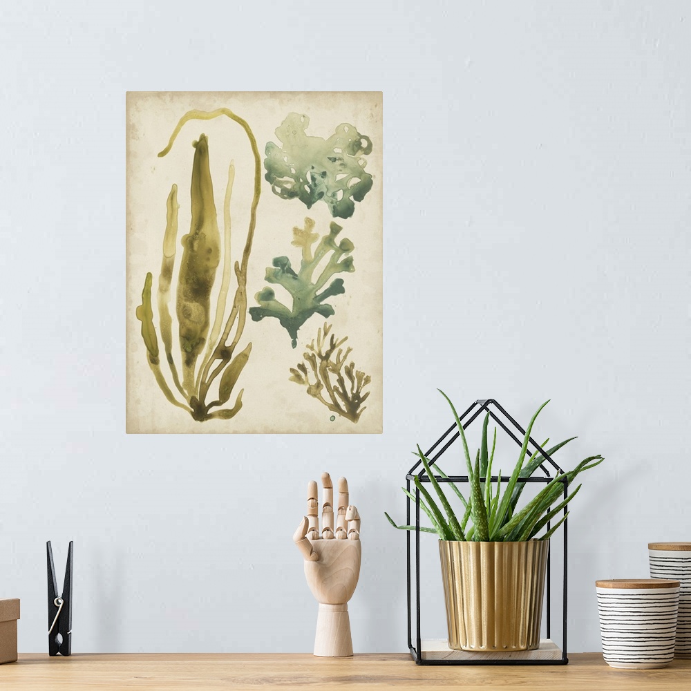 A bohemian room featuring Vintage Sea Fronds III