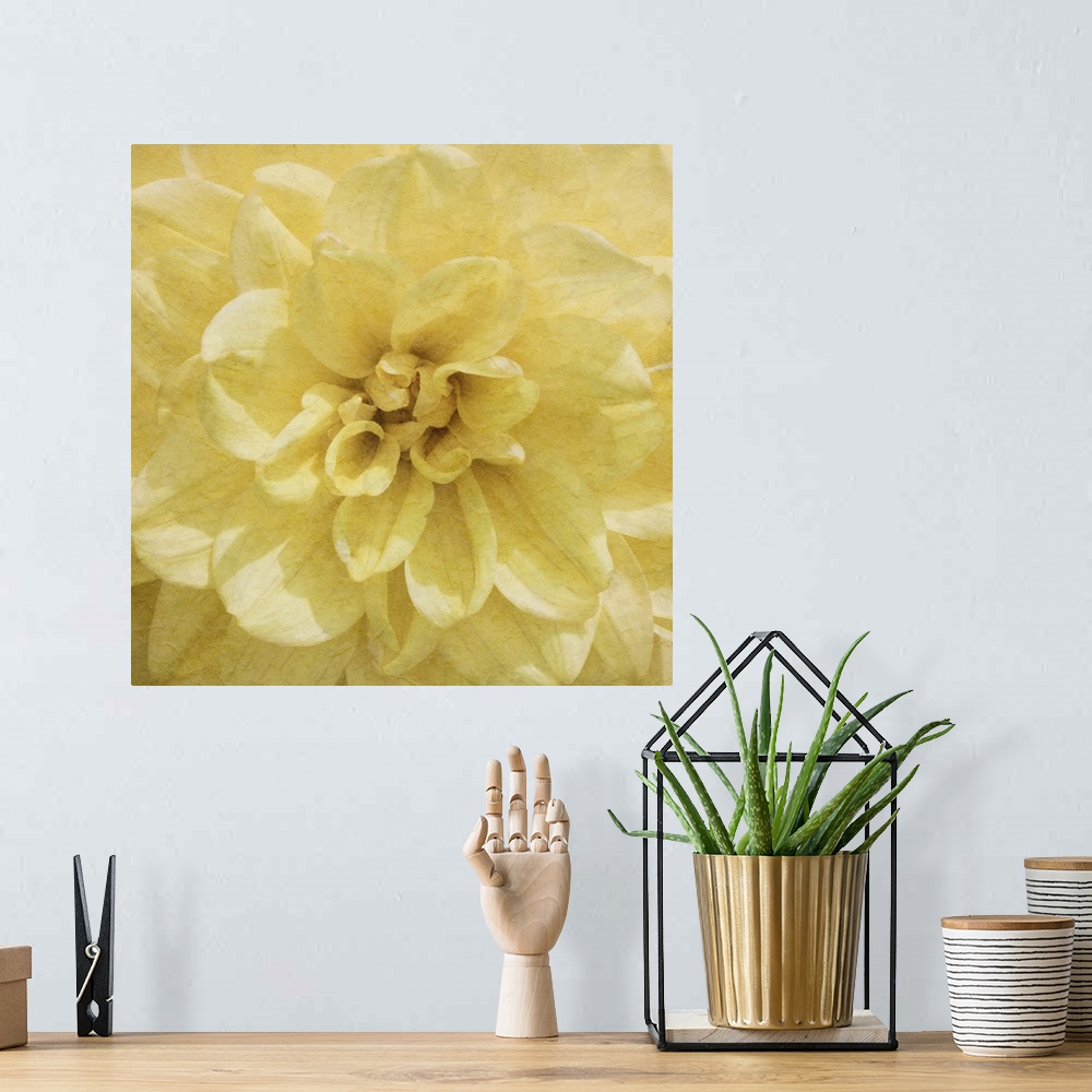 A bohemian room featuring Flowers in shades of yellow fill this decorative art edge to edge.