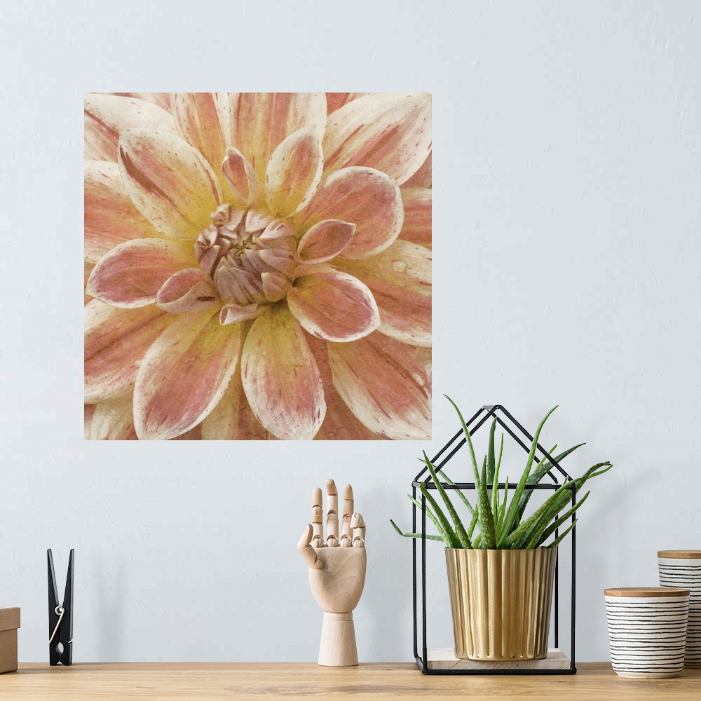 A bohemian room featuring Flowers in shades of pink and yellow fill this decorative art edge to edge.