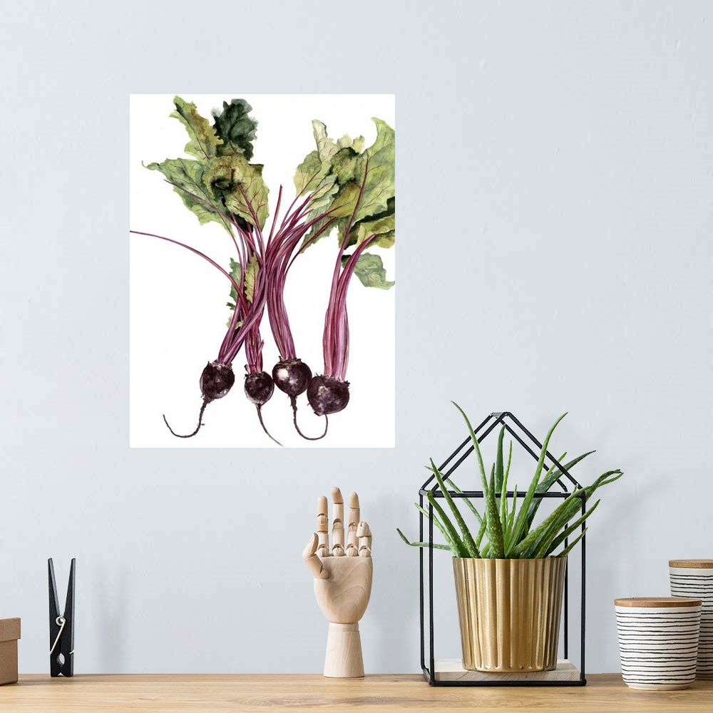 A bohemian room featuring Watercolor painting of beets against a white background.