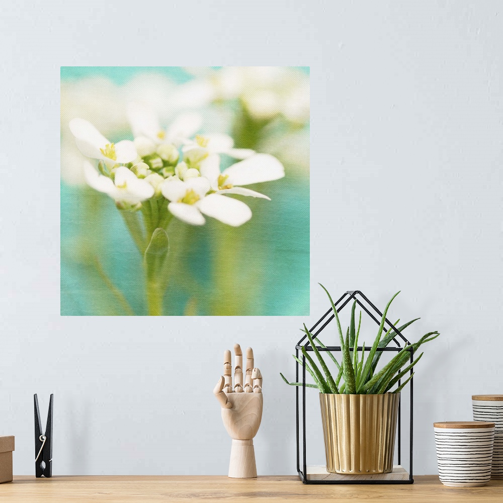A bohemian room featuring White Flowers I