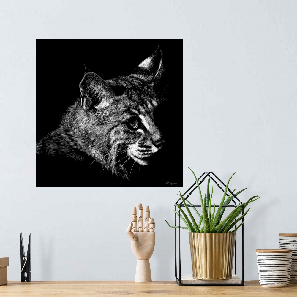 A bohemian room featuring Wildlife Scratchboards IX