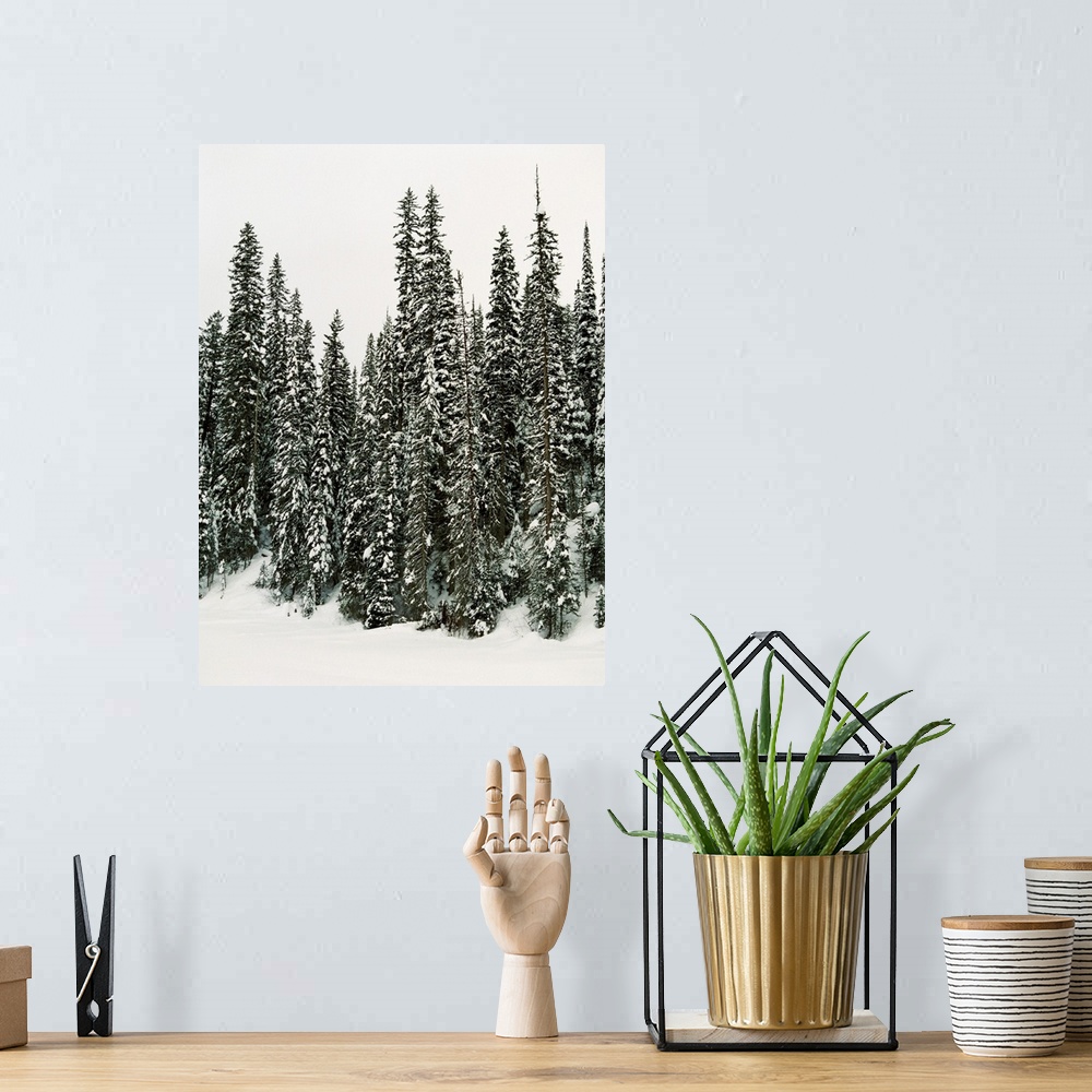 A bohemian room featuring Winter Trees I