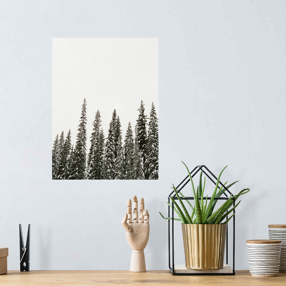 A bohemian room featuring Winter Trees II