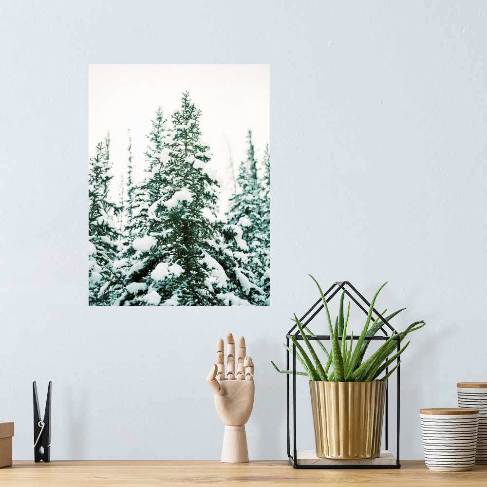 A bohemian room featuring Winter Trees III