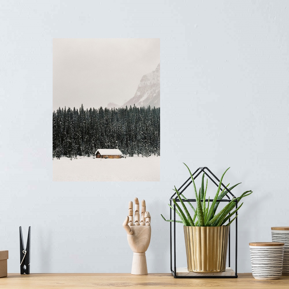 A bohemian room featuring Winter Trees IV
