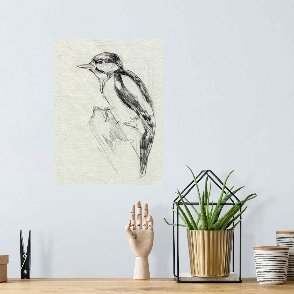 A bohemian room featuring Woodpecker Sketch I