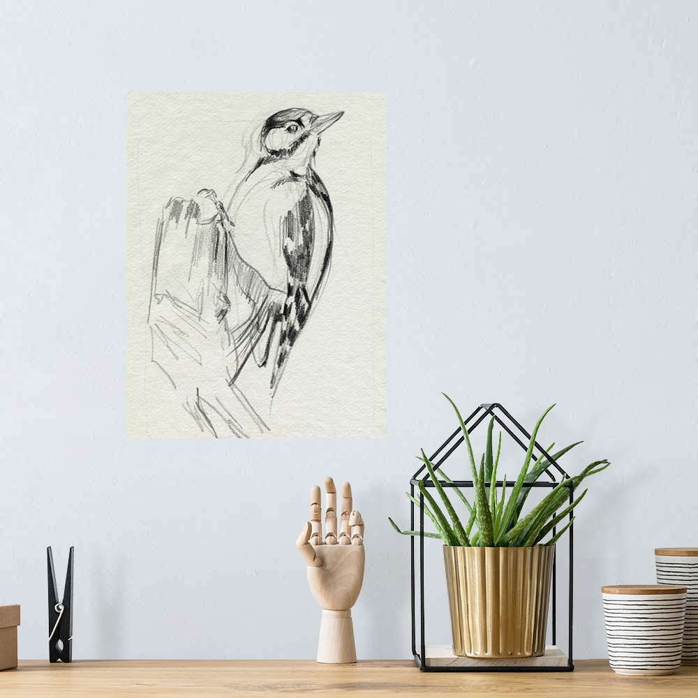 A bohemian room featuring Woodpecker Sketch II