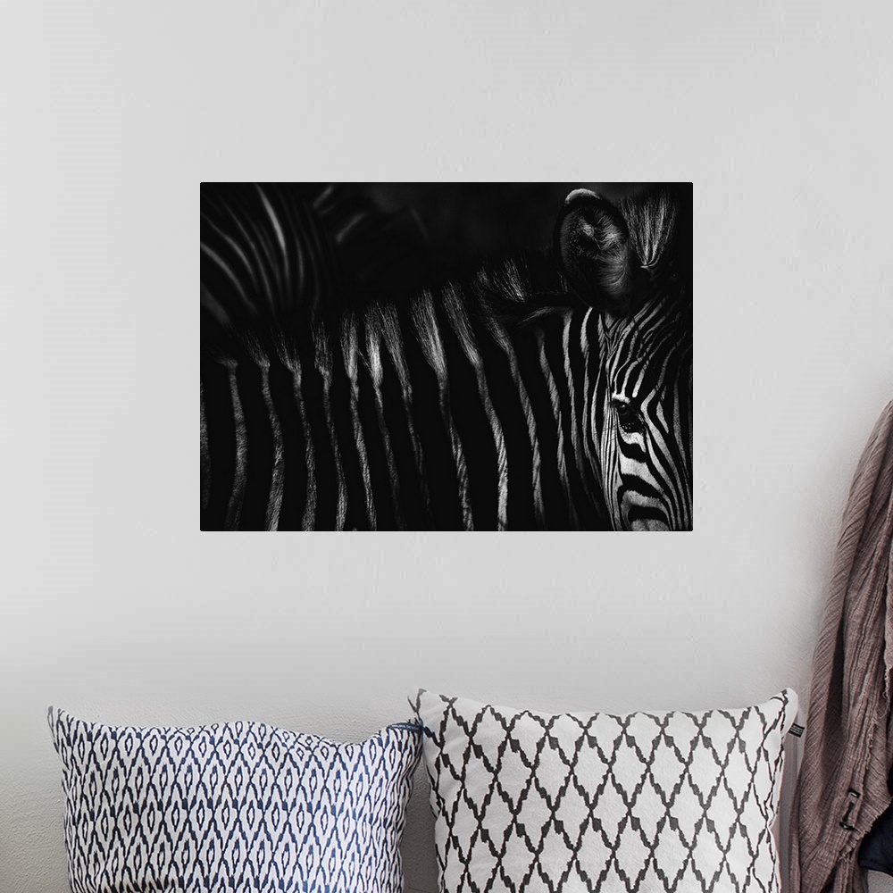 A bohemian room featuring Black and white photograph of a zebra, highlighting its contrasting striped fur.