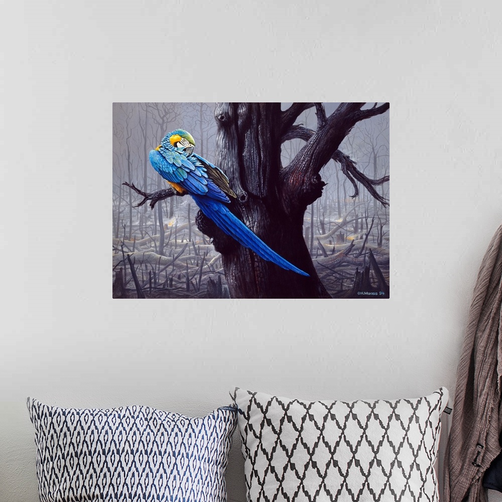 A bohemian room featuring Blue And Yellow Macaw In Burned Forest