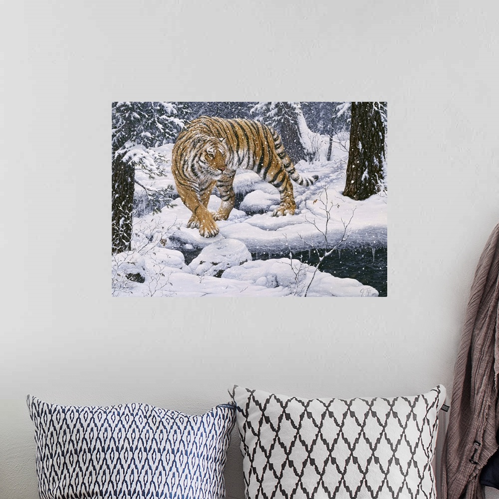 A bohemian room featuring Siberian tiger in the snowy woods