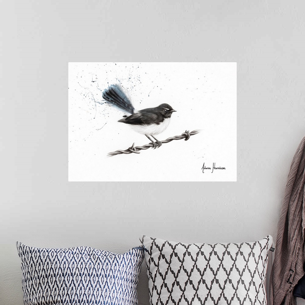 A bohemian room featuring Centenary Willy Wagtail