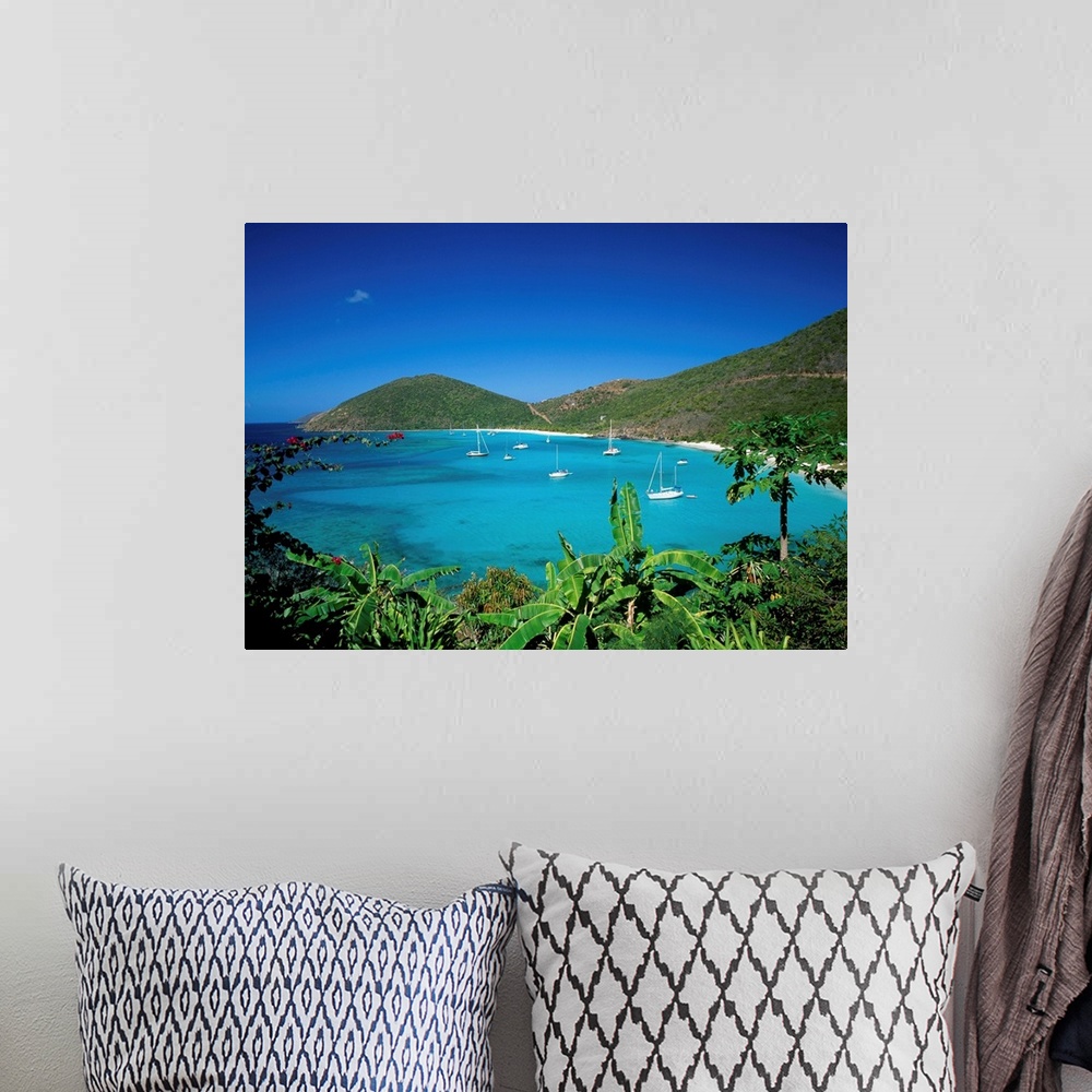 A bohemian room featuring British Virgin Islands, Jost Van Dyke Island, White Bay and papaia