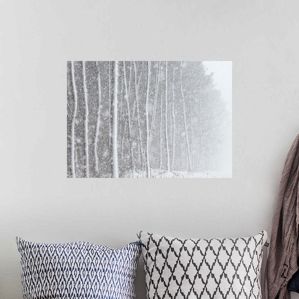 A bohemian room featuring Blizzard blankets trees in snow.