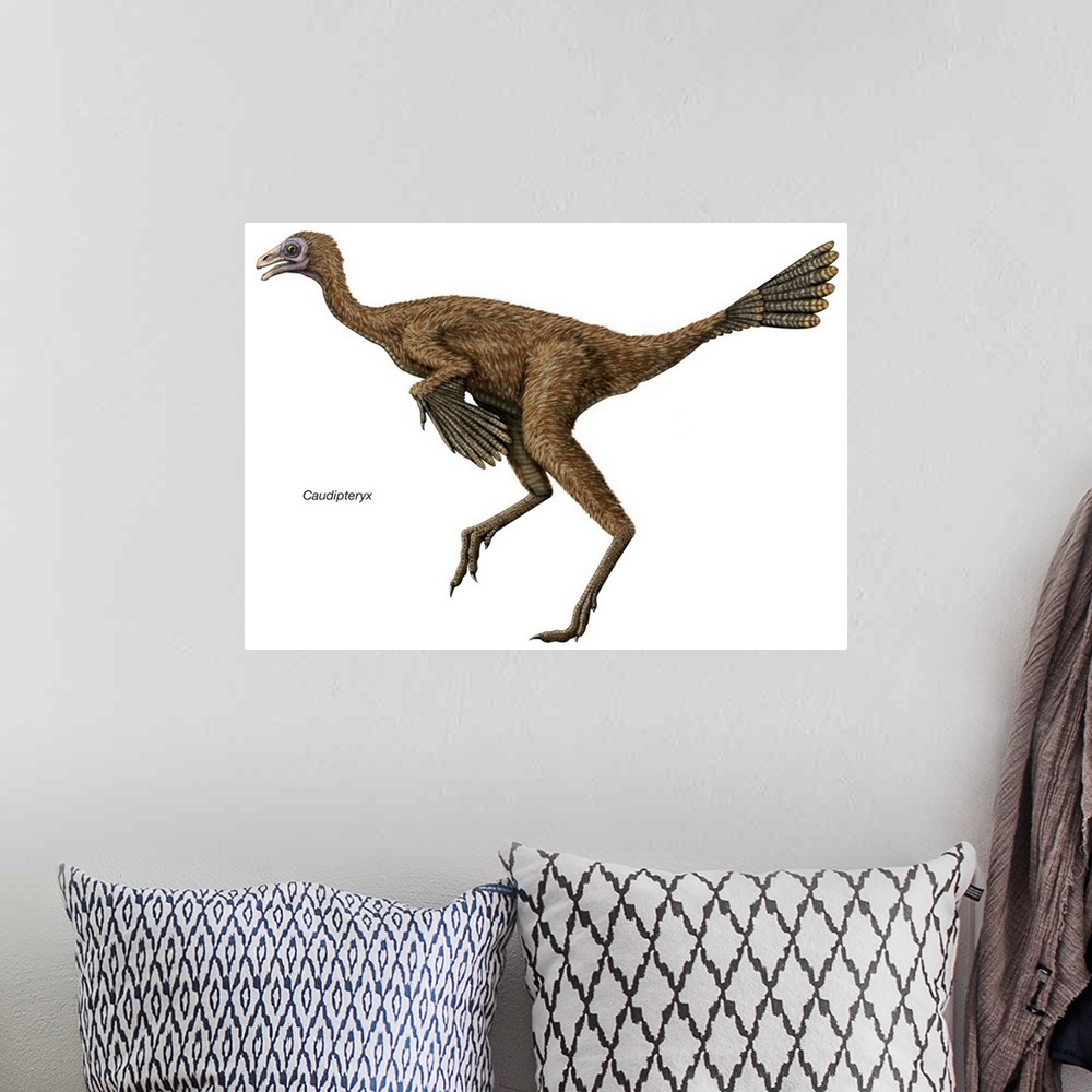A bohemian room featuring An illustration from Encyclopaedia Britannica of the dinosaur Caudipteryx.