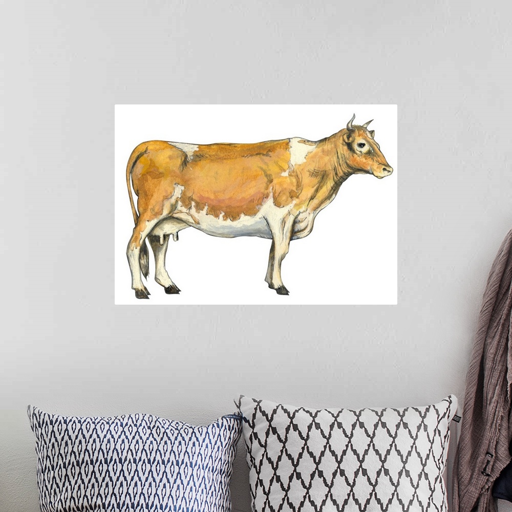 A bohemian room featuring Dairy Cattle (Bos Taurus)