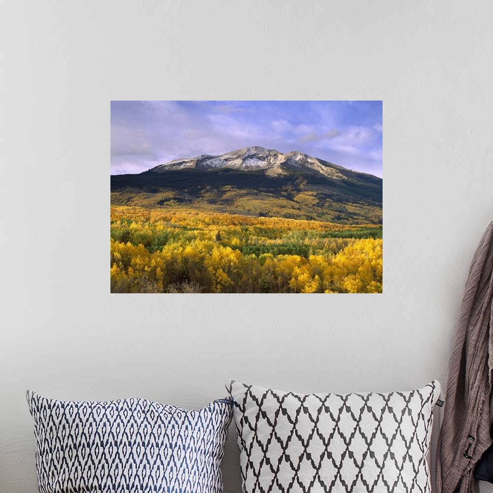 A bohemian room featuring Beautiful nature photograph of East Beckwith Mountain towering above orange and yellow fall trees...