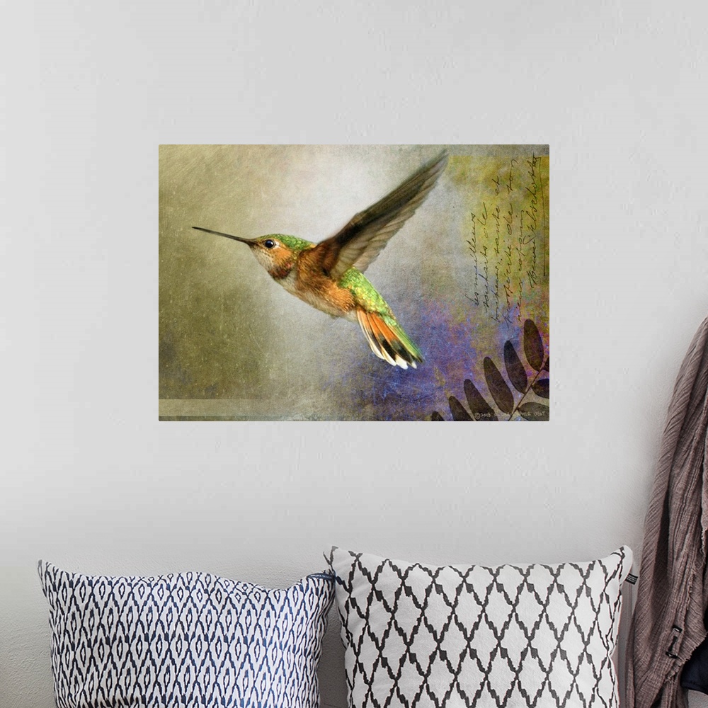 A bohemian room featuring Contemporary artwork of a hummingbird in mid flight.
