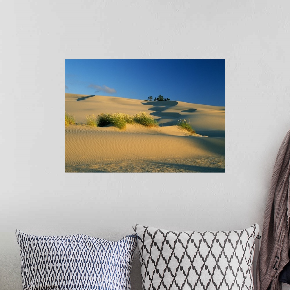 A bohemian room featuring Shadows And Grasses On Sand Dunes