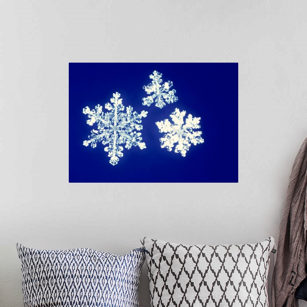 A bohemian room featuring Snowflakes
