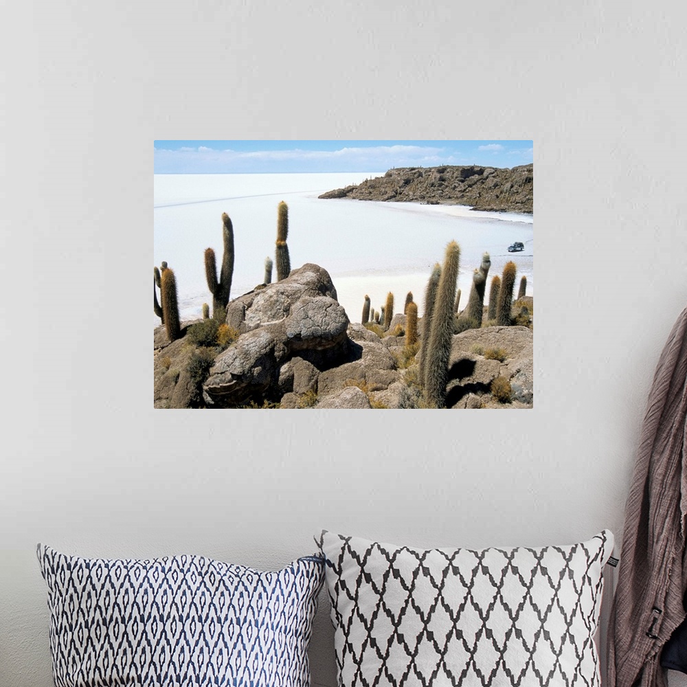 A bohemian room featuring Cacti on Isla de los Pescadores, and salt flats, Bolivia