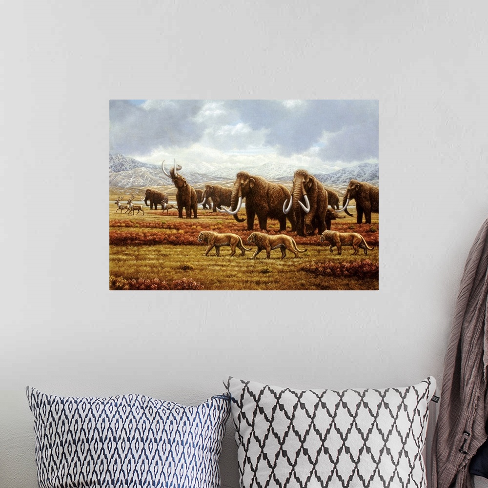 A bohemian room featuring Woolly mammoths. Artist's impression of a herd of woolly mammoths (Mammuthus sp.) during the peak...