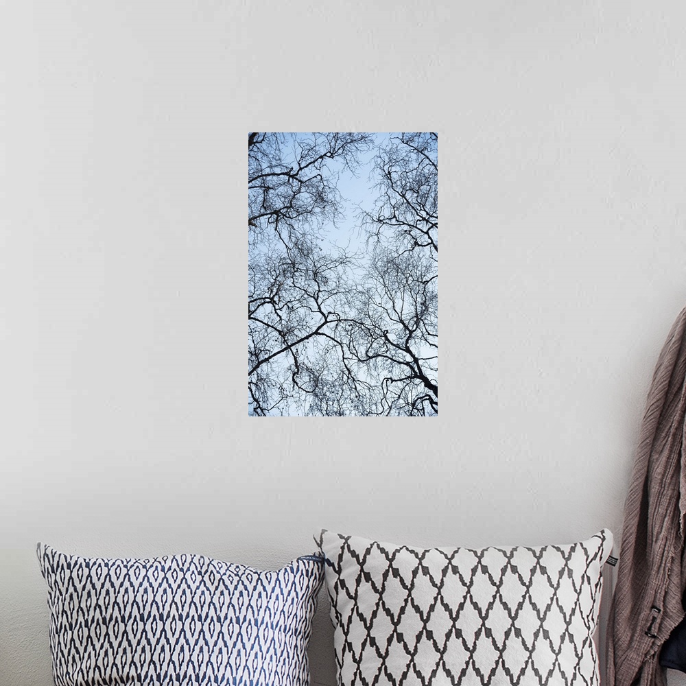 A bohemian room featuring Abstract Tree