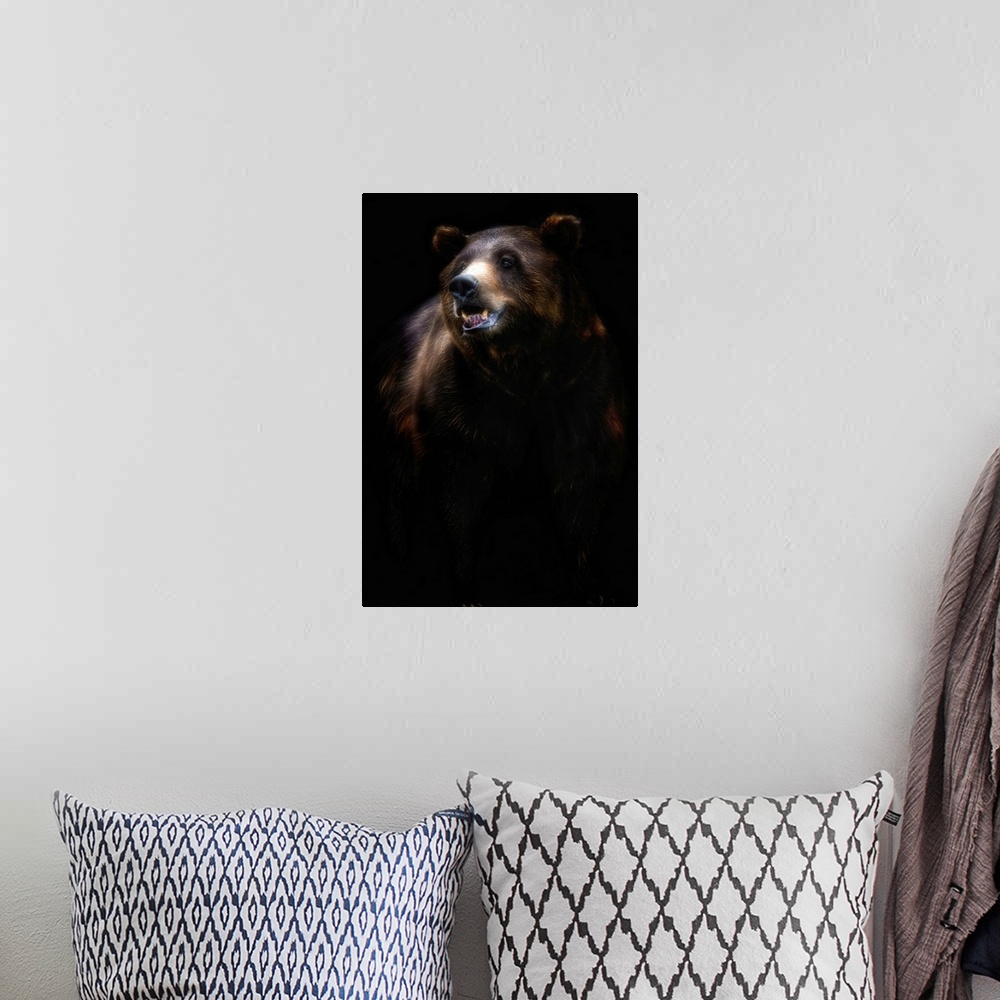 A bohemian room featuring Brown Bear Portrait