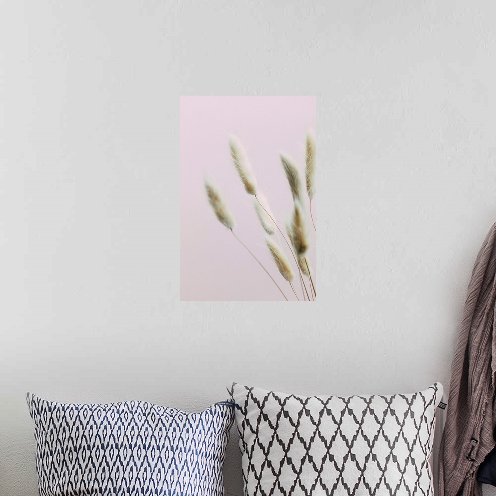 A bohemian room featuring Bunny Grass Pink 2