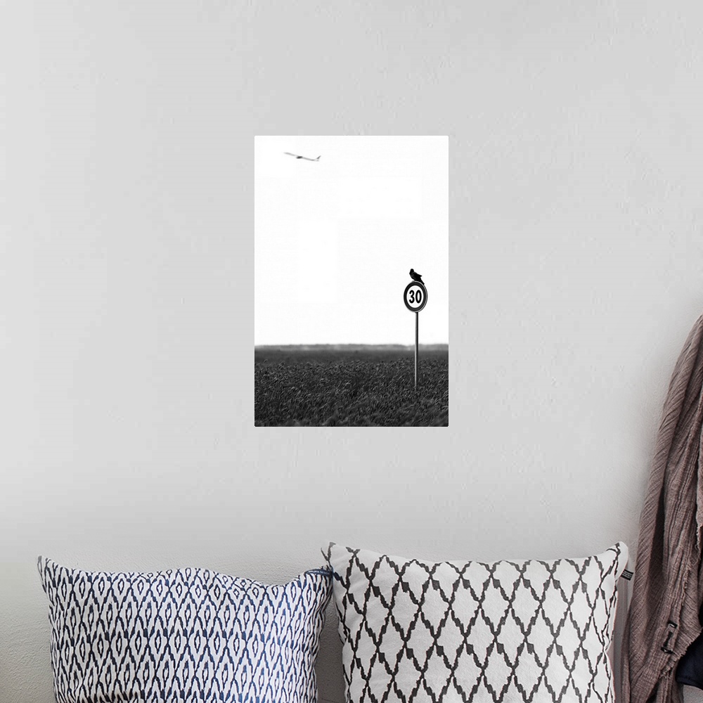 A bohemian room featuring A bird sitting on a speed limit sign in a wheat field looks up at a distant plane.