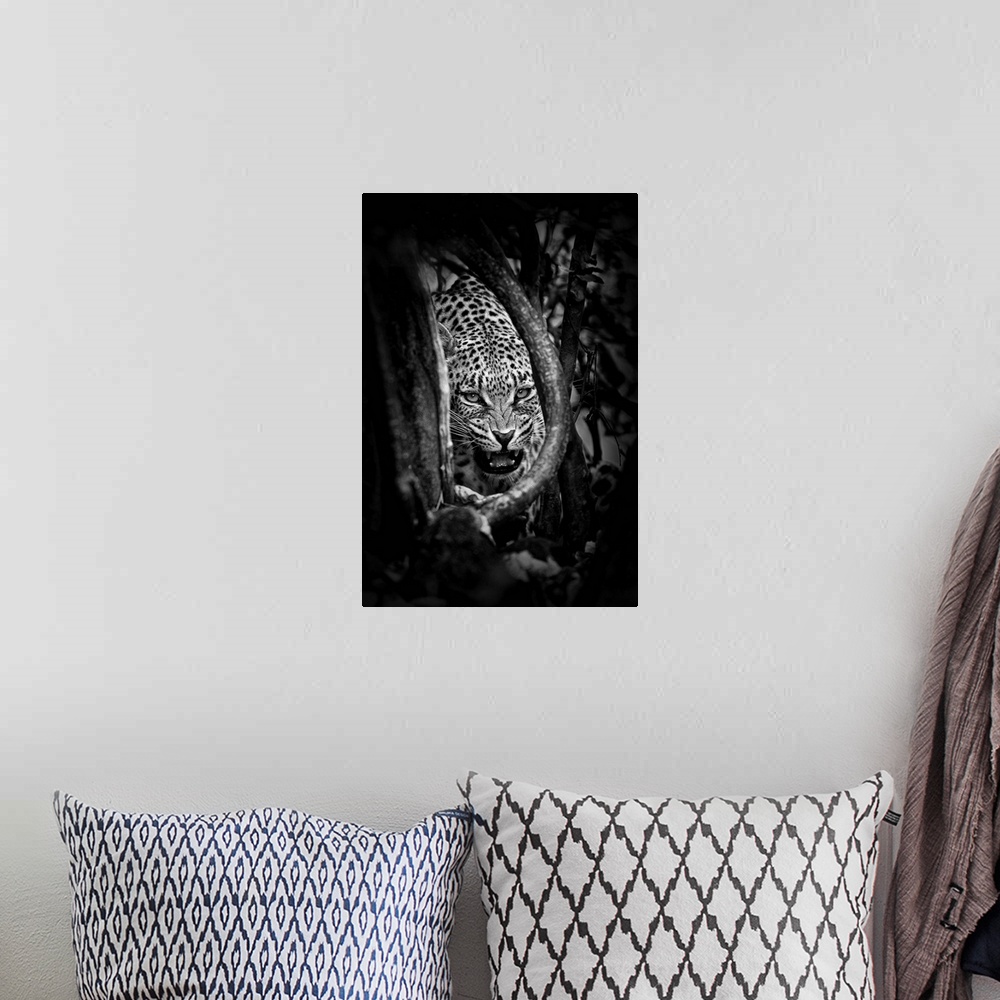 A bohemian room featuring Black and white photograph of a leopard showing its teeth.