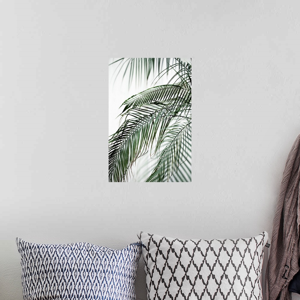 A bohemian room featuring Palm Leaves 21
