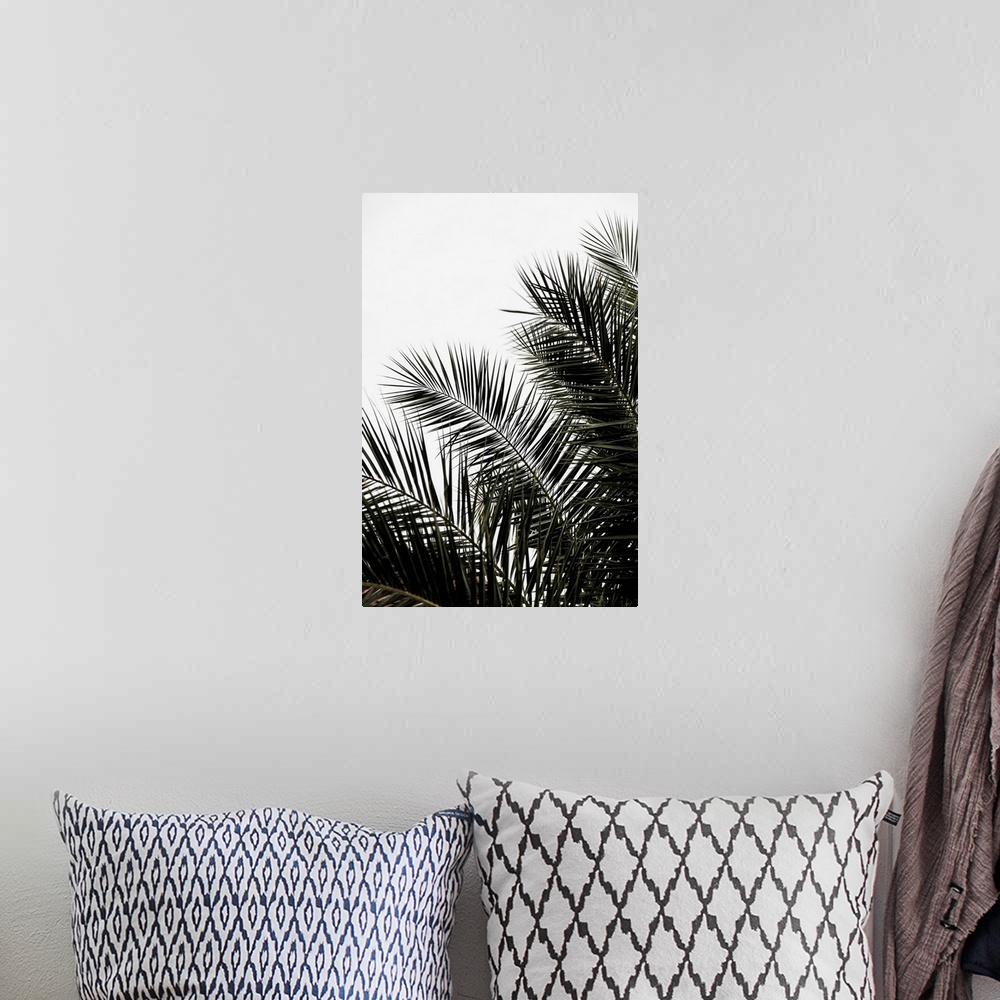 A bohemian room featuring A bold contemporary photograph of long dark green palm branches against a white background