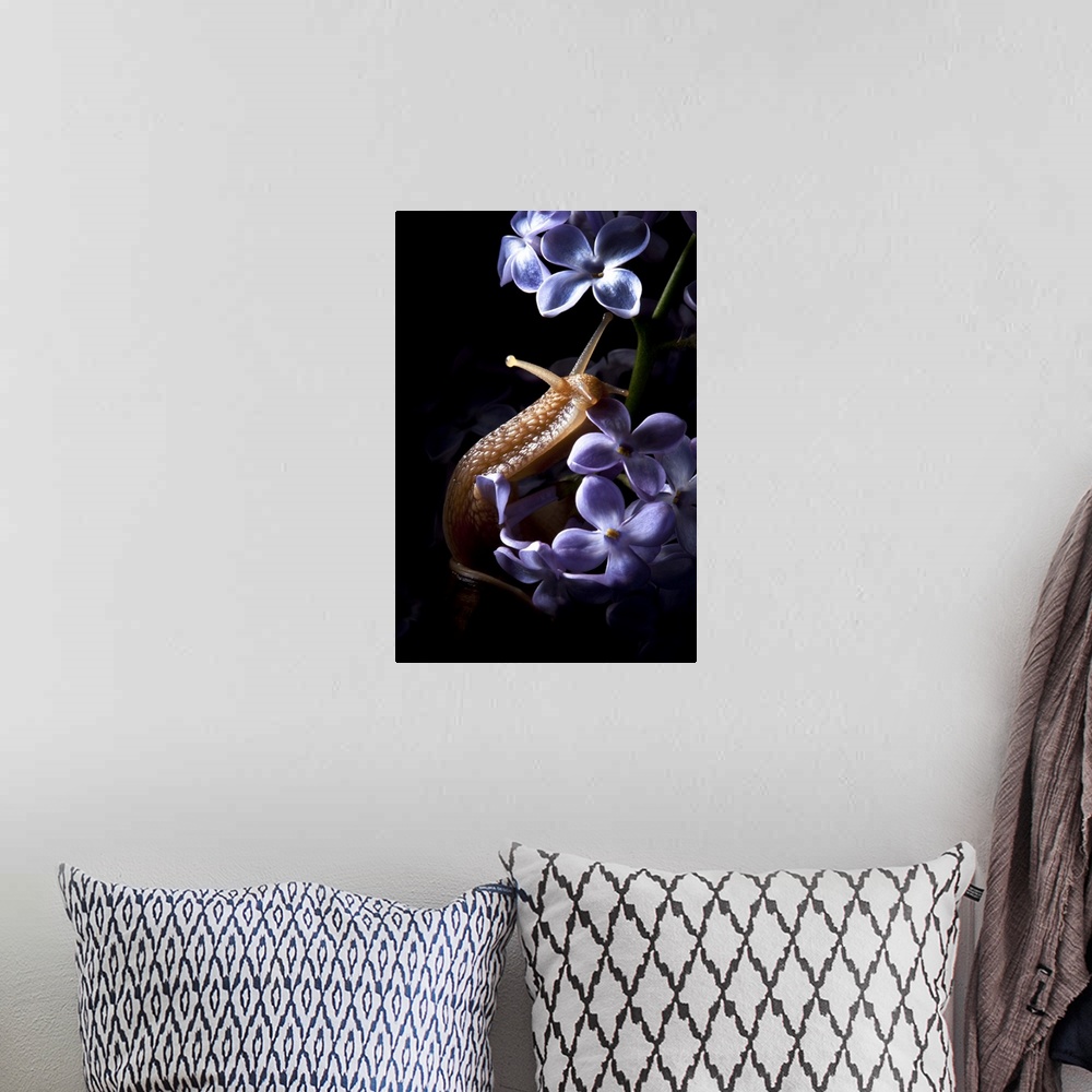 A bohemian room featuring A snail crawling up small lilac flowers.