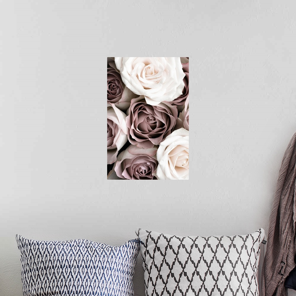 A bohemian room featuring Roses