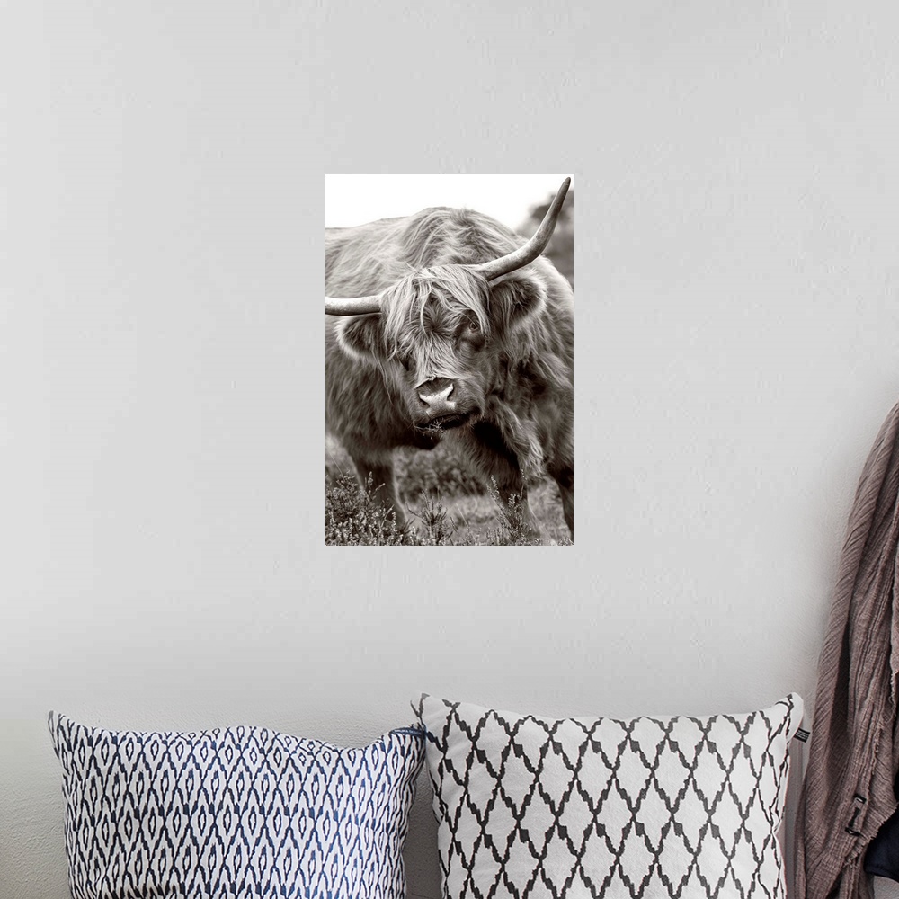 A bohemian room featuring The Bull