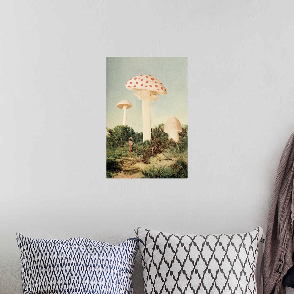 A bohemian room featuring The Finest Giant Mushroom