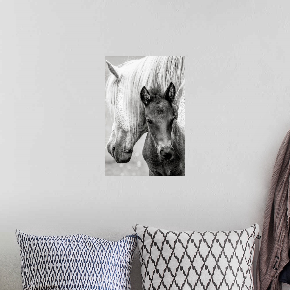 A bohemian room featuring The Foal