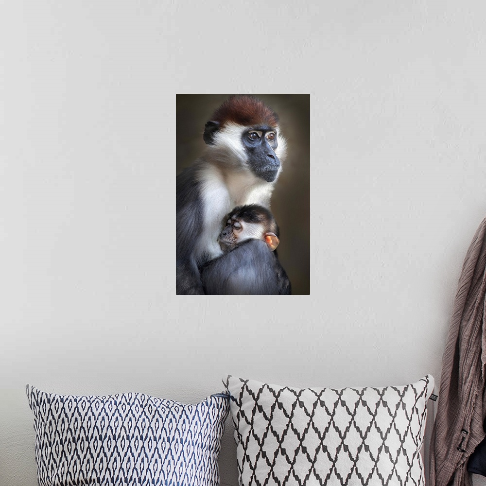 A bohemian room featuring Young monkey clings to its mother in a warm embracing hug.