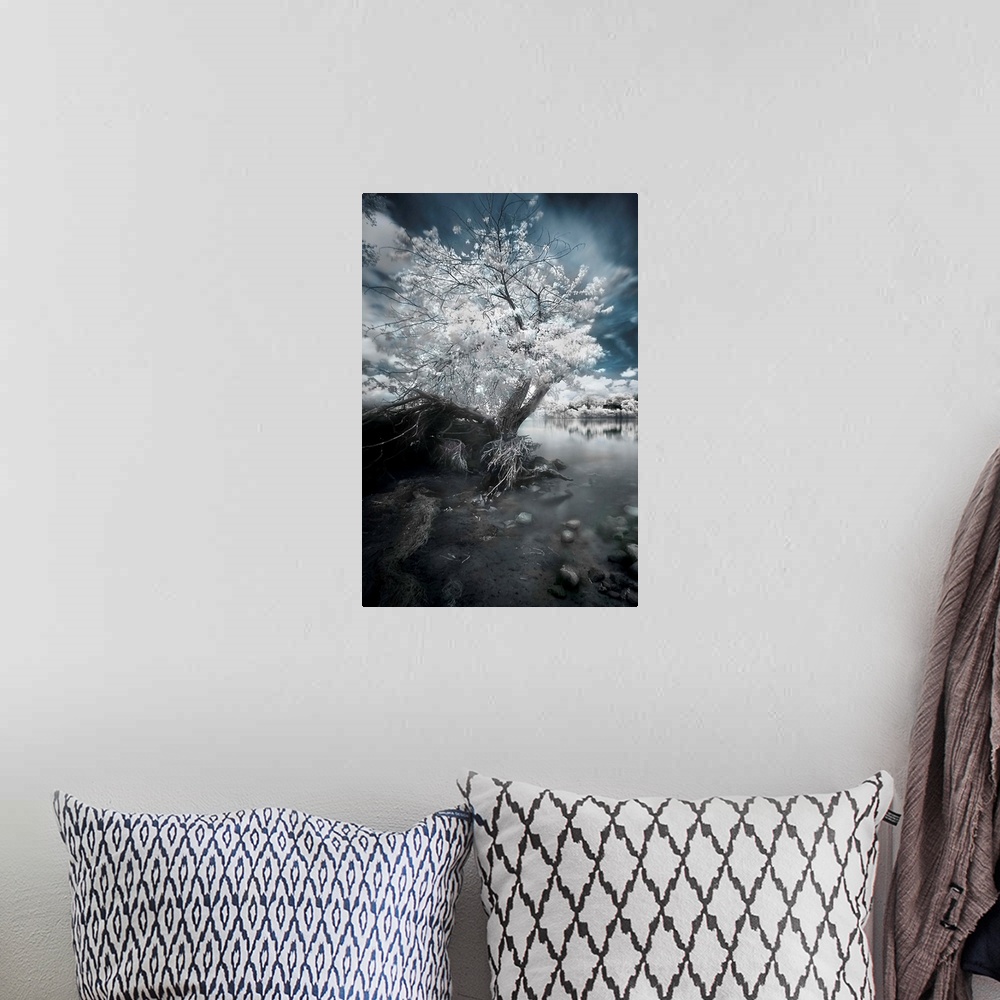A bohemian room featuring A fine art photo of a tree with white foliage rooted on the rocky edge of a river.