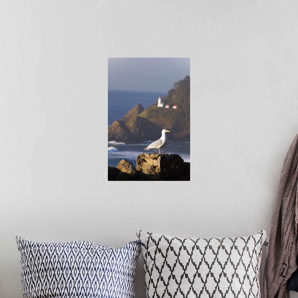 A bohemian room featuring A Bird Sitting On A Rock Near Heceta Head Lighthouse, Oregon